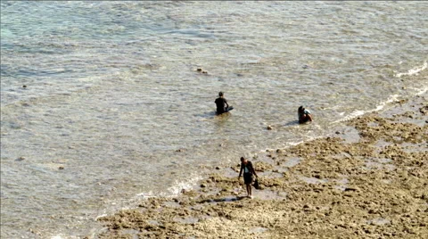 Foraging on the beach in East Timor Stock Footage 48169462