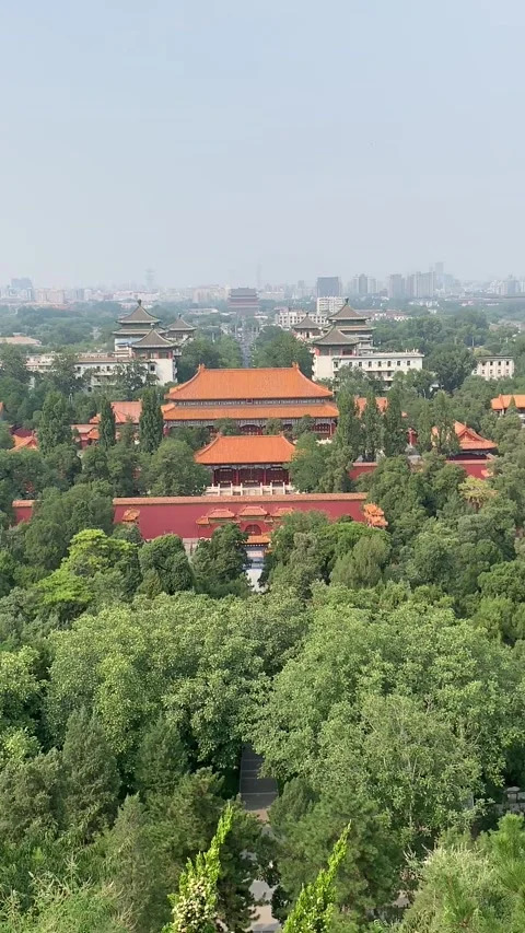 Forbidden City in Beijing Stock-Footage 341982558