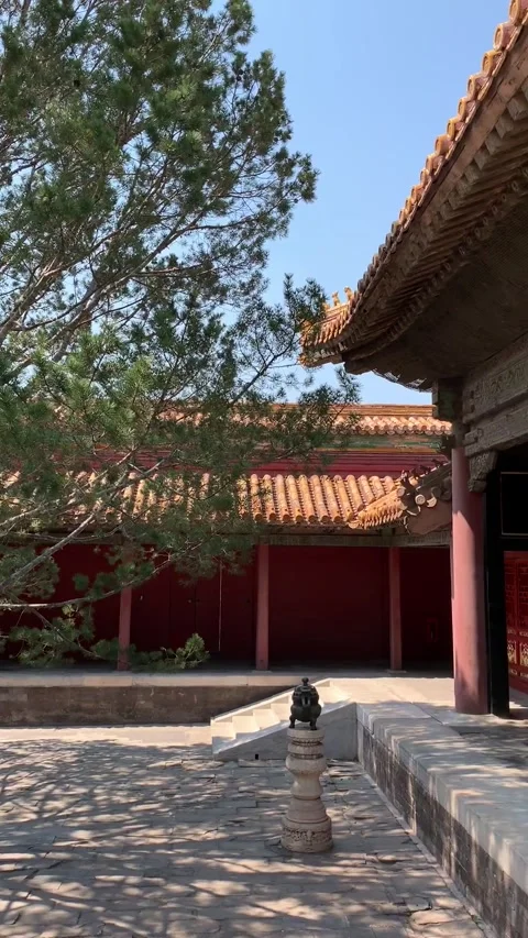 Forbidden City in Beijing Video stock 341982719