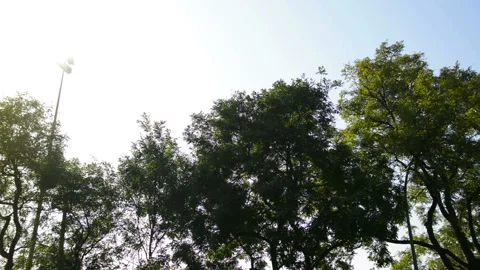 Forbidden City Stockbeeldmateriaal 85714181