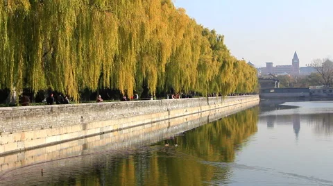 The Forbidden City Moat,Beijing Stock Footage 40520955