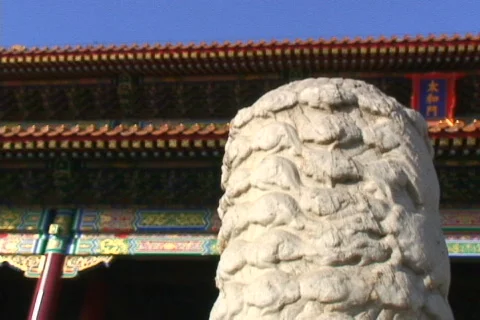 Forbidden City- rack focus Video stock 645761