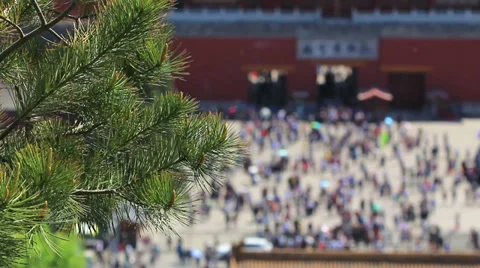 The forbidden city,Beijing Stock Footage 29400287