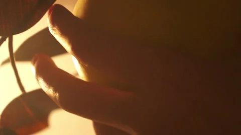 Forbidden Fruit Shot 06 Stock Footage 37563813