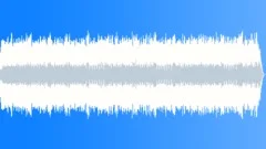 The Forbidden WaveStock Music