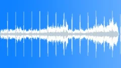 The Forbidden WoodsStock Music