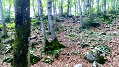 Forca d'acero 08 Stock-Footage 94291092