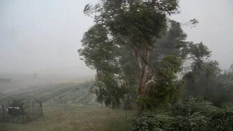 The force of a hurricane Stock Footage 77837890