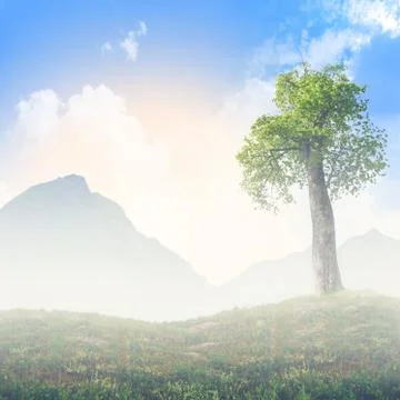 The force of life Stock Photos
