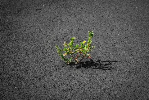 Force of nature Stock Photos