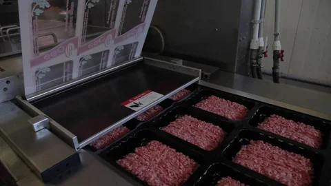 Forcemeat packing at manufacrory  Stock Footage 81031439
