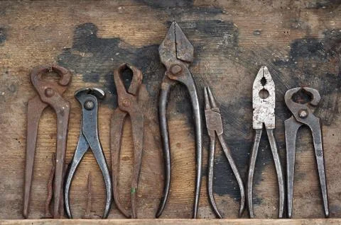 Forceps Stock Photos