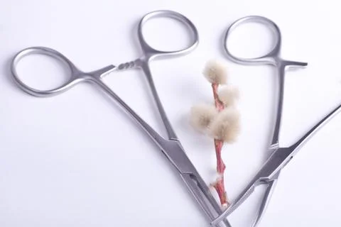 Forceps Stock Photos