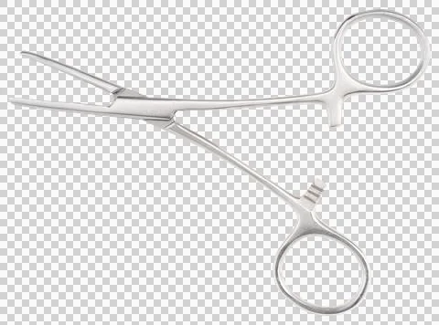 Forceps tool. Kelly forceps scissors. Stock Photos
