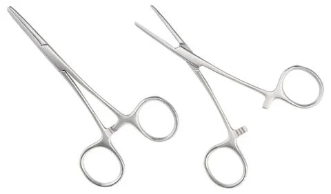 Forceps tool. Kelly forceps scissors. Stock Photos