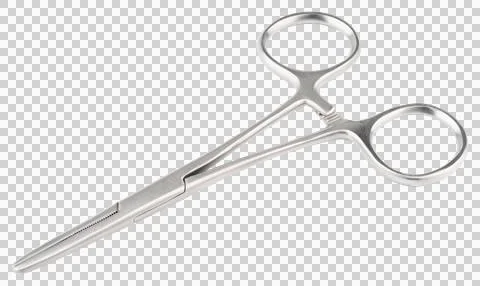 Forceps tool. Kelly forceps scissors Stock Photos