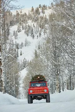 Ford Bronco with Christmas Tree on roof drives drives on snowy road Stock Photos