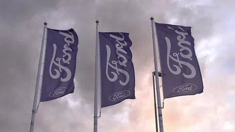 Ford flags at dealership Stock Footage 282580094