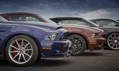 Ford Mustangs Stock Photos