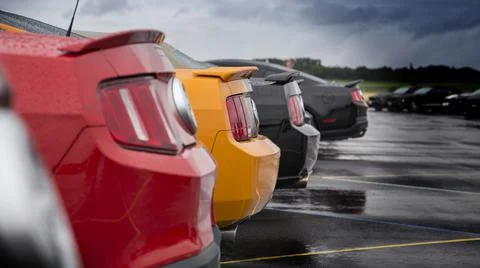 Ford Mustangs Stock Photos