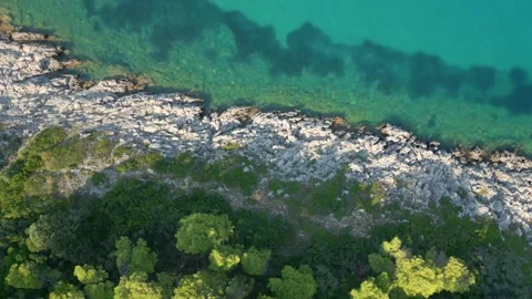 Foreast rocks sea Stock Footage 251146666