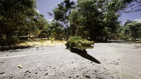 Foreboding crocodile shape cast sharply over road with textured scales Stock Footage 335102221