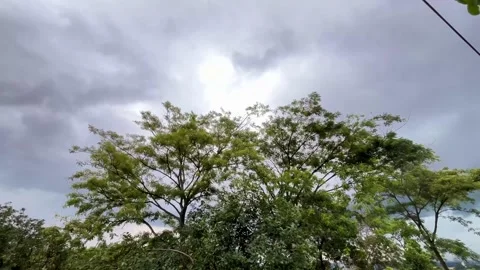 Foreboding Dark Clouds with Bright Light Breaking Through Above Lush Green Trees Stock Footage 341396878