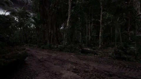 Foreboding forest landscape shrouded in mist and sinister shadows Stock Footage 343621666