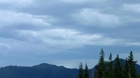 Foreboding skies storm and evergreen fir forest timelapse 2 Mt. Hood Spring Stock Footage 81691264