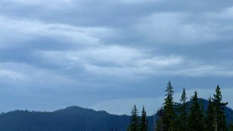Foreboding skies storm and evergreen fir forest 2 Mt. Hood Spring Forest Oregon Stock Photos
