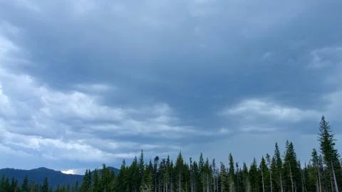 Foreboding skies storm and forest 1 Mt. Hood Spring Forest Oregon Cascade Stock Photos