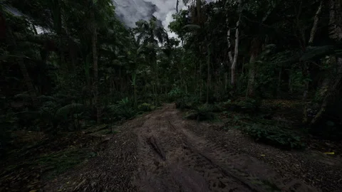 Foreboding storm clouds cast shadows over lively verdant rainforest trail 스톡 동영상 331397041