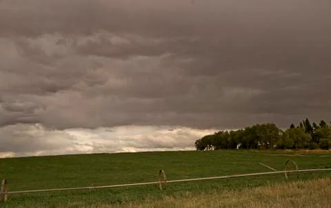Forecast: Rain Stock Photos