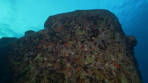 Forecastle and anchor winch of the shipwreck Thistleghorm, Red Sea, Egypt Stock Footage 105512831