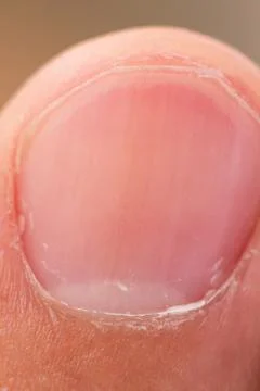 Forefinger Stock Photos