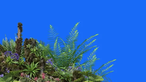 Foreground-01 Stock Footage 252379668