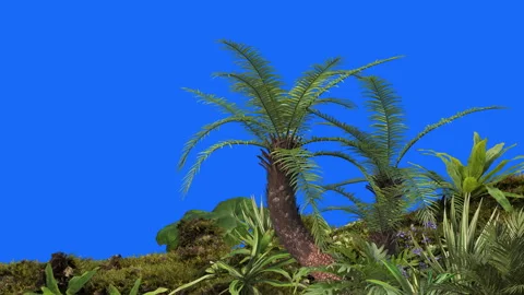 Foreground-03 Stock Footage 252379676