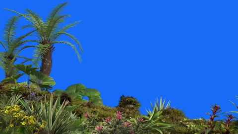 Foreground-04 new Stock-Footage 252379686