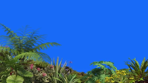 Foreground-06 Stock Footage 252605872