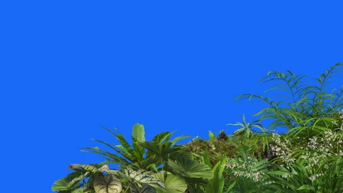 Foreground-10 new Stock Footage 252605857