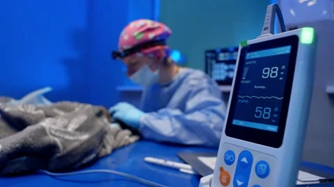 In the foreground, the device shows important indicators of the patient. Stock Footage 276922540