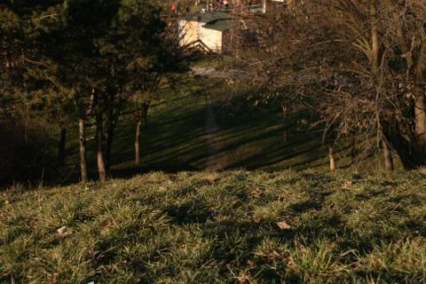 Foreground Grass, In Sideline Trail Stock Photos