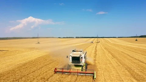 The foreground of harvesters machine working in the field.  스톡 동영상 111986272