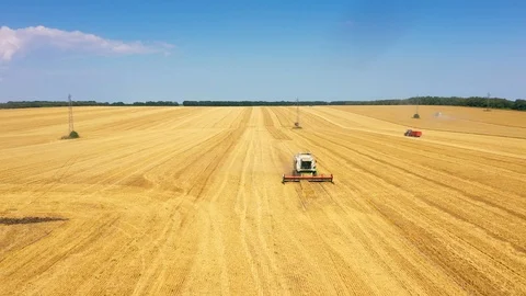 The foreground of harvesters machine working in the field.  Stock Footage 111986289