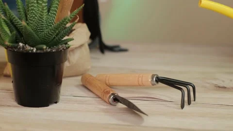 In the foreground is a light wooden table on which there is equipment for cultiv Stock Footage 221847538