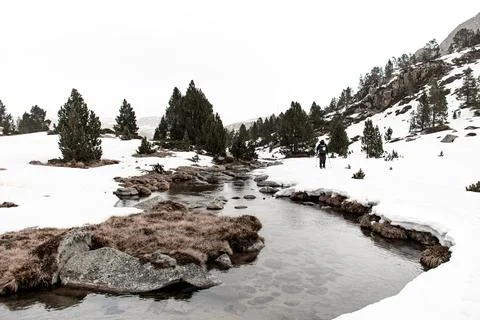 In the foreground is a mountain stream with transparent clean water, past which Stock Photos