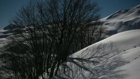 Foreground Movement shadows on snow Stock-Footage 83695216
