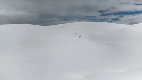 Foreground Movement Shadows on snow time lapse. Two lonely trees. Snowy desert Stock Footage 83690926