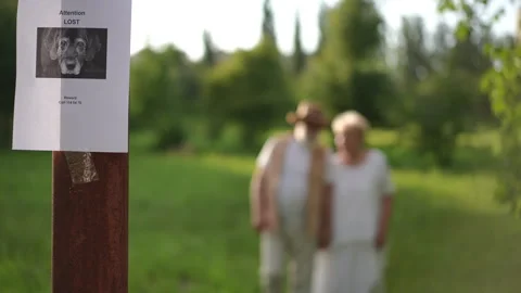 In the foreground, a paper notice about a missing dog is taped to a pole. In the Stock Footage 273755358
