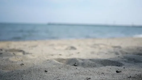 Foreground Sand in front of Blurry Cinematic Beach 库存影片 340045643
